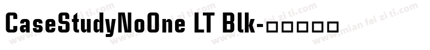 CaseStudyNoOne LT Blk字体转换
